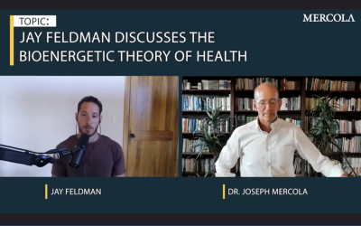 Intro to the Bioenergetic Theory of Health
